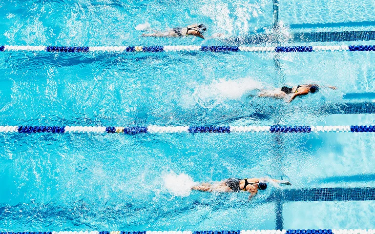 Muscle Building & Maintenance