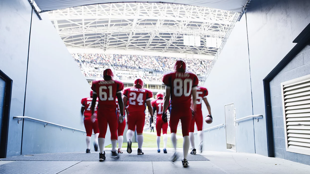 Recovery & Regeneration